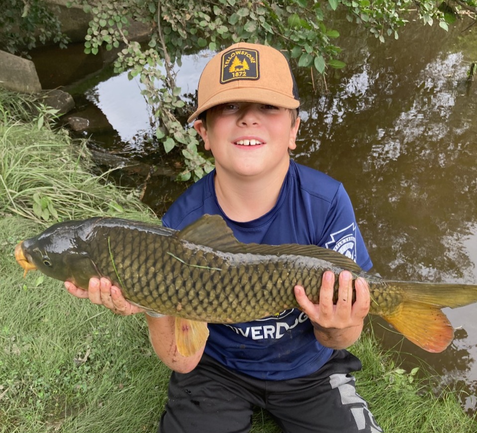 Carp